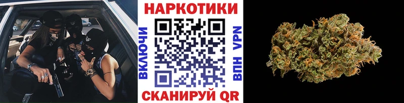 Где купить Щигры COCAIN  Гашиш  А ПВП  Канабис 