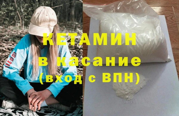 шишки Мегион