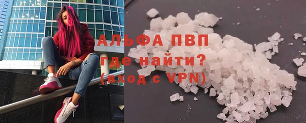 a pvp Магас