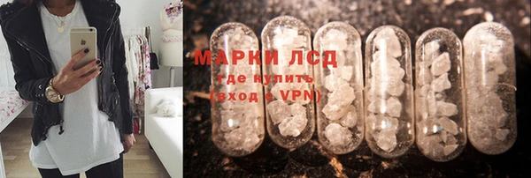 a pvp Магас