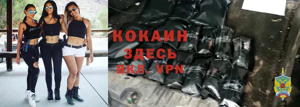 a pvp Магас