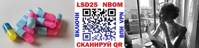 что такое   Щигры  блэк спрут онион  Лсд 25 экстази кислота 