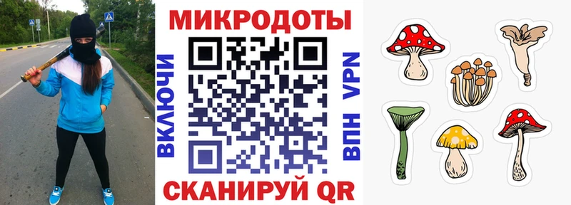 Галлюциногенные грибы ЛСД  даркнет наркотические препараты  Щигры  купить закладку 