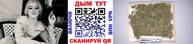 Марихуана SATIVA & INDICA  где можно купить   Щигры 